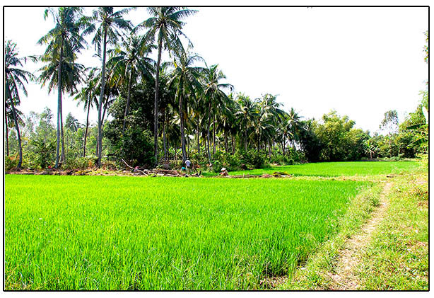 DSC_0002PhuLam.jpg