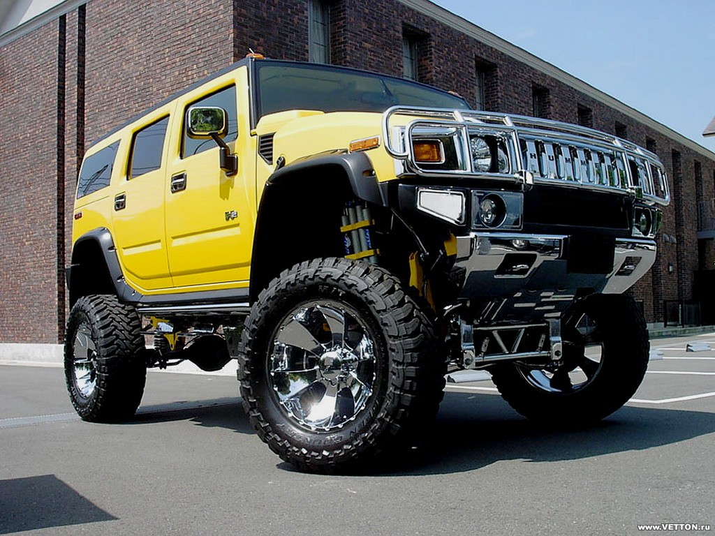 hummer_3789.jpg